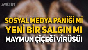 Maymun çiçeği virüsü nedir, belirtileri neler: Sosyal medya paniği mi, yeni bir salgın mı