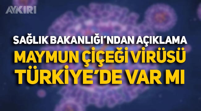 Maymun çiçeği virüsü Türkiye'de var mı? Sağlık Bakanlığı'ndan açıklama yapıldı