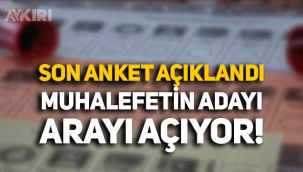 Seçim anketi açıklandı: 