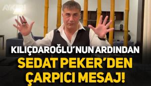 Sedat Peker'den yeni mesaj: Size neler anlatacağım neler