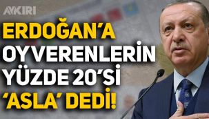 Son anket açıklandı: Erdoğan'a oy verenlerin yüzde 20'si