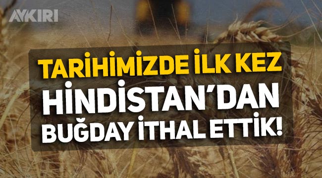 'Tarım ülkesi' Türkiye, tarihinde ilk kez Hindistan'dan buğday ithal etti!