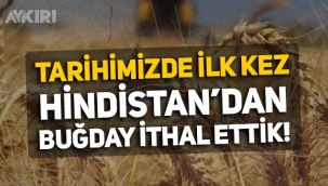 'Tarım ülkesi' Türkiye, tarihinde ilk kez Hindistan'dan buğday ithal etti!