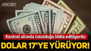 Türk Lirası eriyor: Dolar yeniden 16 lirayı geçti!