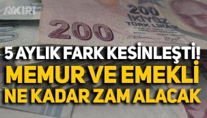 5 aylık fark kesinleşti: Memur ve emekliler Temmuz'da ne kadar zam alacak