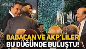 Ali Babacan ve AKP'li isimler bu düğünde buluştu