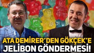 Ata Demirer,
