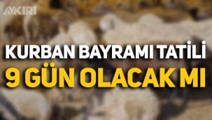 Bayram tatili kaç gün? Kurban bayramı tatili 9 gün olacak mı? Erdoğan, Kabine toplantısında açıklayacak
