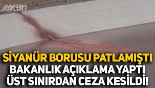 Erzincan İliç'te siyanür borusu patlamıştı: Bakanlık açıklama yaptı, altın madenine en üst sınırdan ceza kesildi