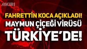 Fahrettin Koca açıkladı: Maymun çiçeği virüsü Türkiye'de! Maymun çiçeği nedir, nasıl bulaşır, belirtileri nelerdir?