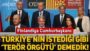 Finlandiya Cumhurbaşkanı: Türkiye'nin istediği gibi 'terör örgütü' demedik