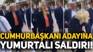 Fransa'da seçimleri kaybeden Le Pen'e yumurtalı saldırı!