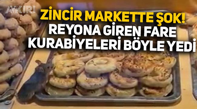 İstanbul'daki zincir markette şok görüntüler: Reyona giren fare, kuru pastaları böyle yedi!