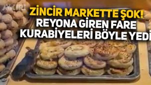 İstanbul'daki zincir markette şok görüntüler: Reyona giren fare, kuru pastaları böyle yedi!