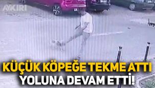 İstanbul Silivri'de köpeğe tekme attı, hiçbir şey olmamış gibi yoluna devam etti