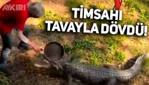 Kendisine saldıran metrelerce büyüklükteki timsahı tavayla uzaklaştırdı