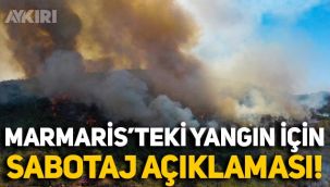 Marmaris'teki yangına ilişkin Süleyman Soylu'dan 'sabotaj' açıklaması