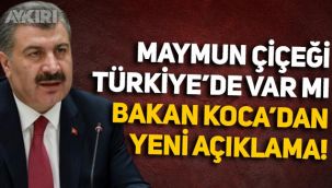 Maymun çiçeği virüsü Türkiye'de görüldü mü? Fahrettin Koca'dan yeni açıklama