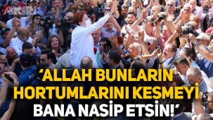Meral Akşener: