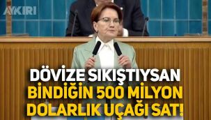 Meral Akşener'den Erdoğan'a: