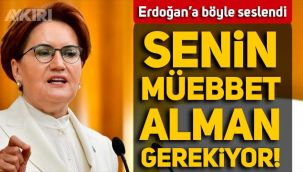 Meral Akşener'den Erdoğan'a sosyal medya yasası tepkisi: