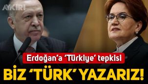 Meral Akşener'den Erdoğan'ın 