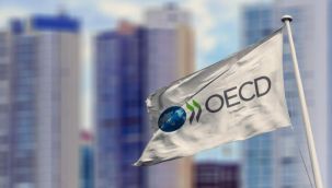 OECD'den Türkiye için korkutan enflasyon tahmini!