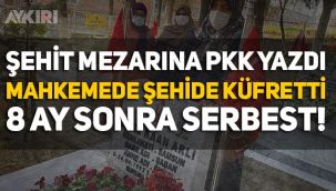 Şehit mezarlarına 