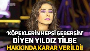 Sokak köpekleri için