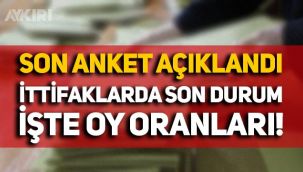 Son seçim anketinin sonuçları paylaşıldı: İttifaklarda son durum! İşte partilerin oy oranları