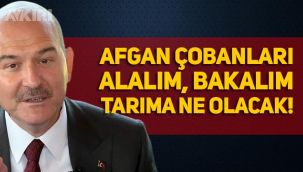 Süleyman Soylu: 