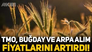 Toprak Mahsulleri Ofisi, buğday ve arpa alım fiyatlarını artırdı