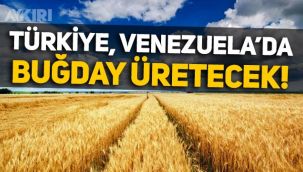 Türkiye'de çiftçiler zor durumdayken Venezuela’da buğday üreteceğiz!