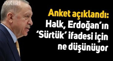 Anket açıklandı: Vatandaşlar, Erdoğan'ın