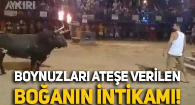 Boynuzları ateşe verilen boğa, matadordan intikamını öyle bir aldı ki...