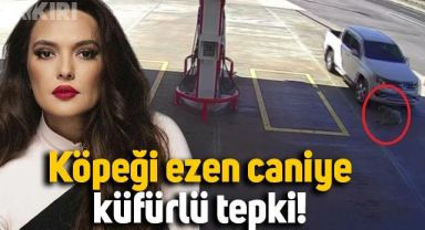 Demet Akalın'dan köpeği ezen yabancı uyruklu şahsa küfürlü tepki