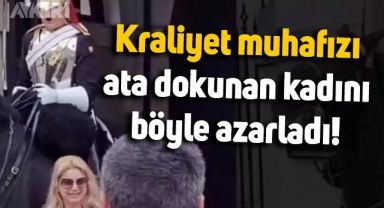 İngiliz kraliyet muhafızı, ata dokunan kadını azarladı: Neye uğradığını şaşırdı