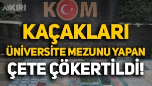 İstanbul'da, Türkiye'ye giren kaçakları üniversite mezunu yapan çete çökertildi: 4'ü serbest, 2'si tutuklandı