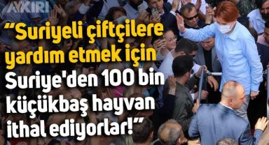 Meral Akşener: Suriyeli çiftçilere yardım etmek için Suriye'den 100 bin küçükbaş hayvan ithal ediyorlar