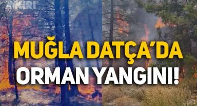Muğla'nın Datça ilçesinde orman yangını çıktı: Havadan ve karadan müdahale sürüyor