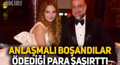 Naz Elmas ile Erol Özmandıracı anlaşmalı olarak boşandı: Özmandıracı'nın Elmas'a ödediği para şaşırttı