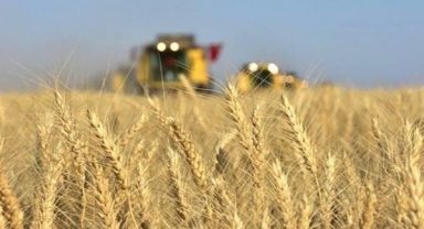 OECD'den tarım raporu: 