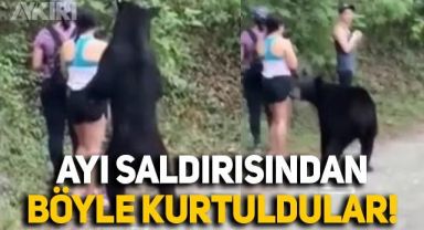 Ormanda yürüyüşe çıkan 3 kadın, ayının saldırısından kurtulduğu anlar