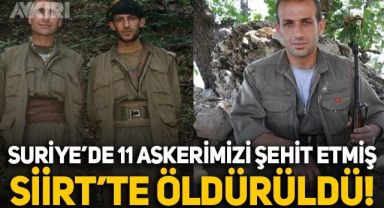 Suriye'de 11 askerimizi şehit eden terörist, Siirt'te öldürüldü