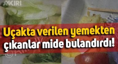 Uçakta verilen yemekten çıkanlar mide bulandırdı: Yılan, böcek, salyangoz...