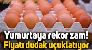 Yumurta kaç lira oldu? Yumurtaya büyük zam geldi, kolisinin fiyatı dudak uçuklattı