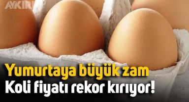Yumurtaya büyük zam yapıldı, kolisinin fiyatı rekor kırıyor: İşte yeni yumurta fiyatları
