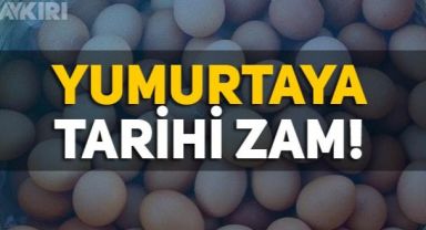 Yumurtaya zam mı geldi? Yumurtaya tarihin en büyük zamlarından biri yüzde 40