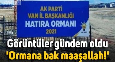 AKP'nin hatıra ormanının görüntüleri gündem oldu: Ormana bak maaşallah!