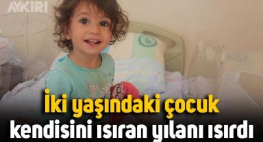 Bingöl'de iki yaşındaki çocuk, kendisini ısıran yılanı ısırdı